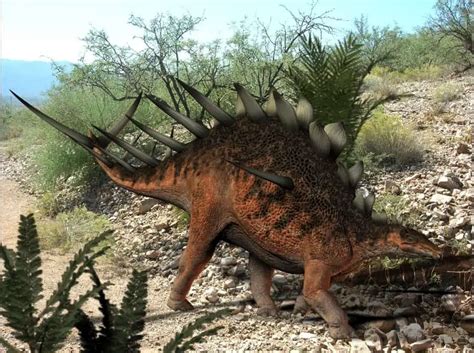 xenosaurus|kentrosaurus pictures.